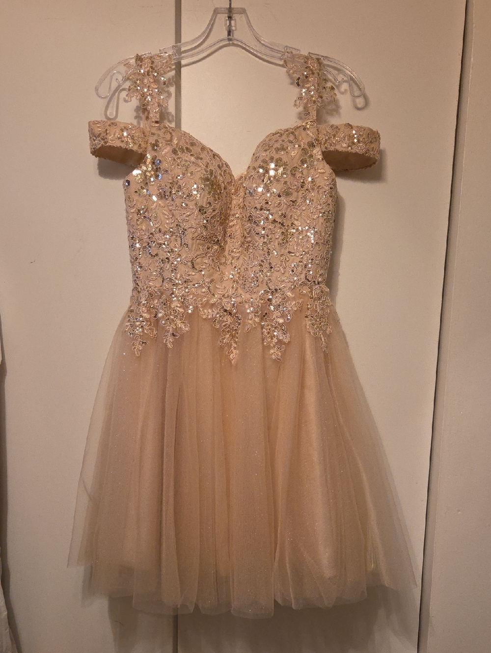 Sparkle Tulle Party Dress in Champagne Pink